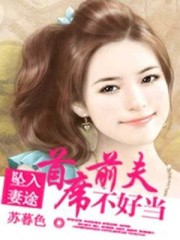 坠入妻途:首席前夫不好当